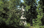 3641053.jpg