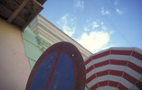 3641085.jpg